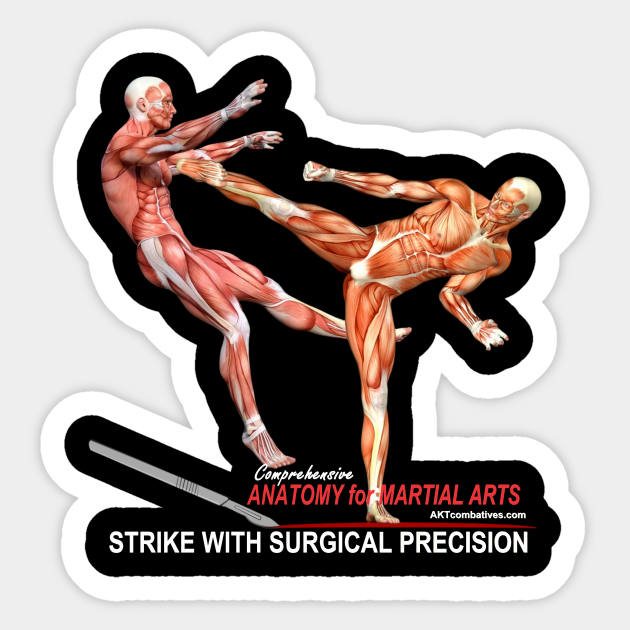Comprehensive Anatomy for Martial Arts Anatomy Sticker TeePublic